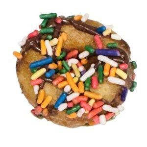 Chocolate Sprinkles - Dozen (12 mini donuts)